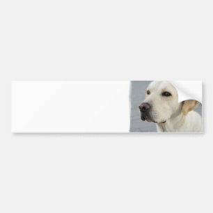 Gele Bumpersticker