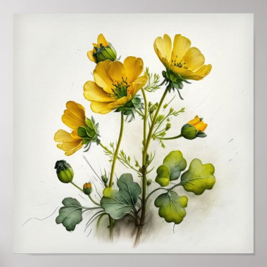 Gele Buttercups Bloemenkunst Print Poster (Voorkant)