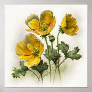 Gele Buttercups Bloemenkunst Print Poster