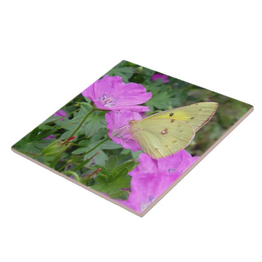 Gele Butterfly Tile Tegeltje (Zijkant)