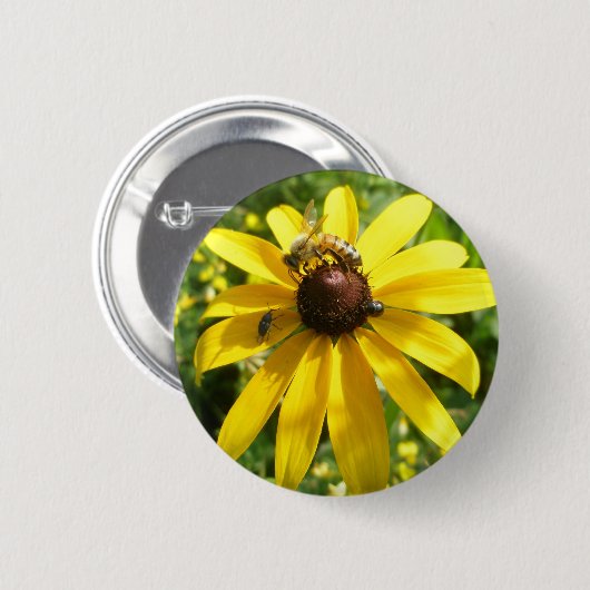 Gele Button Coneflower (Voorkant /achterkant)