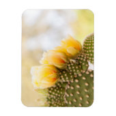 Gele cactus bloeien in Arizona Magneet (Verticaal)