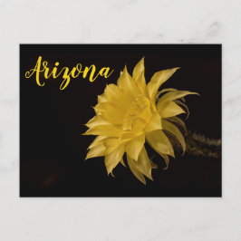 Gele cactus bloem, Arizona Briefkaart