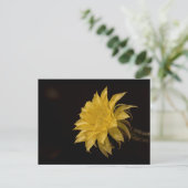 Gele cactus bloem briefkaart (Staand voorkant)