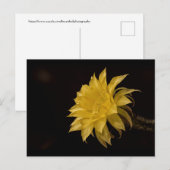 Gele cactus bloem briefkaart (Voorkant / Achterkant)