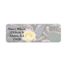 Gele cactus bloem in april