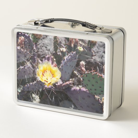 Gele cactus bloem in de lente (Achterkant)