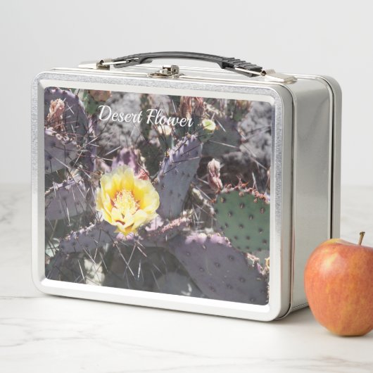 Gele cactus bloem in de lente (In situ)