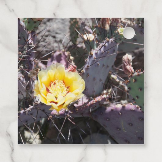 Gele cactus bloem in de lente bedankjes labels (Achterkant)