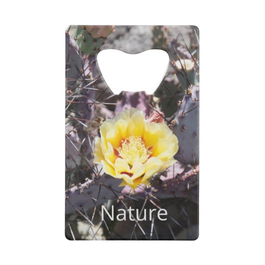 Gele cactus bloem in de lente creditkaart flessenopener (Voorkant)