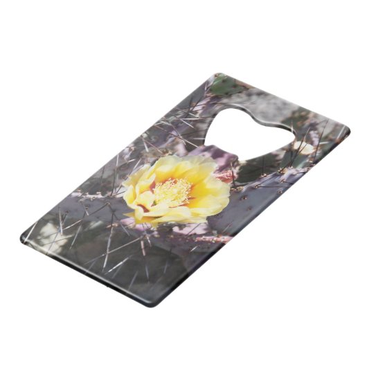 Gele cactus bloem in de lente creditkaart flessenopener (Achterkant Gekanteld)