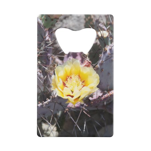 Gele cactus bloem in de lente creditkaart flessenopener (Achterkant)