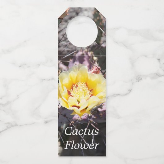 Gele cactus bloem in de lente flessenhanger (Voorkant)