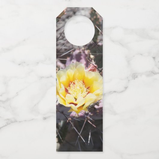 Gele cactus bloem in de lente flessenhanger (Achterkant)