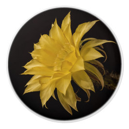 Gele cactus bloem keramische knop