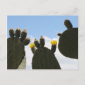 Gele Cactus Flowers Briefkaart (Voorkant)
