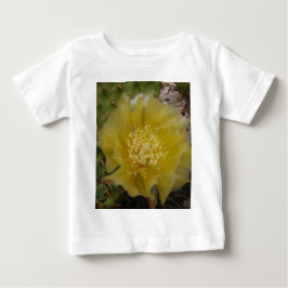 Gele Cactus In Bloei
