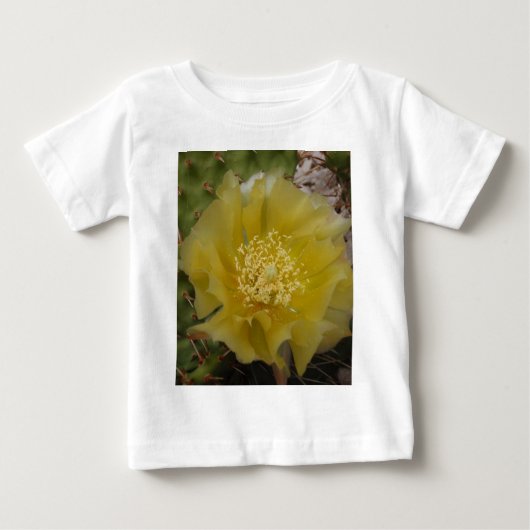 Gele Cactus In Bloei (Voorkant)