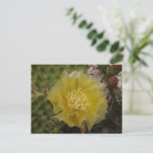 Gele Cactus In Bloei Briefkaart (Staand voorkant)