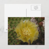 Gele Cactus In Bloei Briefkaart (Voorkant / Achterkant)