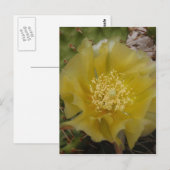 Gele Cactus In Bloei Briefkaart (Voorkant / Achterkant)