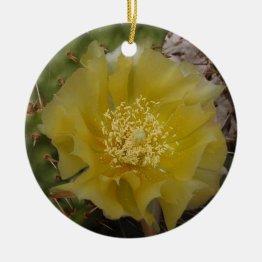 Gele Cactus In Bloei Keramisch Ornament (Voorkant)