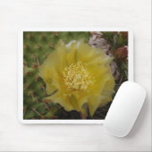 Gele Cactus In Bloei Muismat (Met muis)