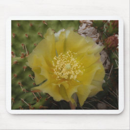 Gele Cactus In Bloei Muismat