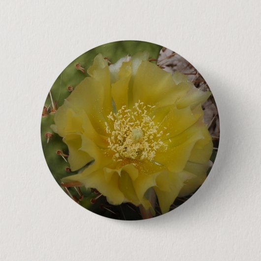 Gele Cactus In Bloei Ronde Button 5,7 Cm (Voorkant)