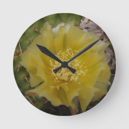 Gele Cactus In Bloei Ronde Klok
