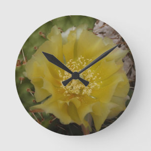 Gele Cactus In Bloei Ronde Klok