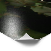 Gele cactus Prickly Pear Flower Foto Afdruk (Hoek)