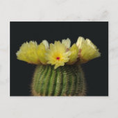 Gele cactus ventilator briefkaart (Voorkant)