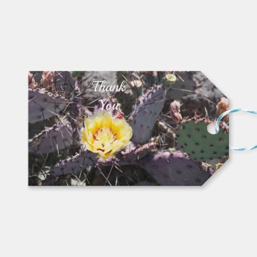 Gele cactusbloem in de lente cadeaulabel (Voorkant (Horizontaal))