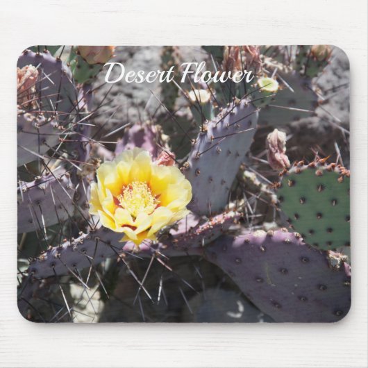 Gele cactusbloem in de lente muismat (Voorkant)