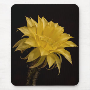 Gele cactusbloem muismat