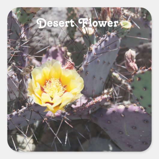 Gele cactusbloem vierkante sticker (Voorkant)