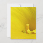 Gele Calla Lelie Bloem Kaart (Achterkant)