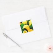 Gele Calla Lilies Vierkante Sticker (Envelop)