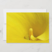 Gele Calla Lily Bloem Kaart (Achterkant)