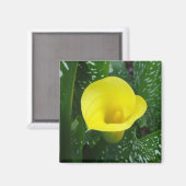 Gele Calla magneet (Voorkant / Achterkant)