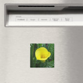 Gele Calla magneet (Insitu (Vaatwasser))