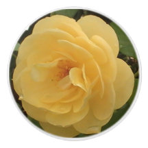 Gele Camellia-keramische trek