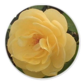 Gele Camellia-keramische trek Keramische Knop