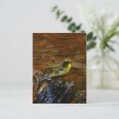 Gele Canarische baden Briefkaart (Staand voorkant)