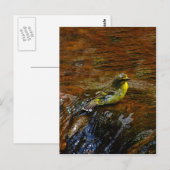 Gele Canarische baden Briefkaart (Voorkant / Achterkant)
