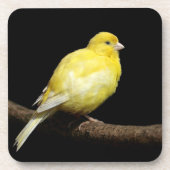 Gele Canarische Bier Onderzetter (Voorkant)