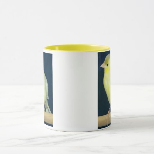 Gele Canarische Mok (Midden)