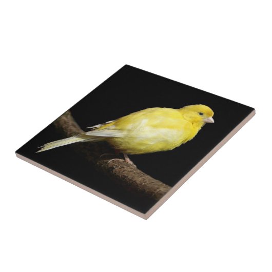 Gele Canarische Tegeltje (Zijkant)