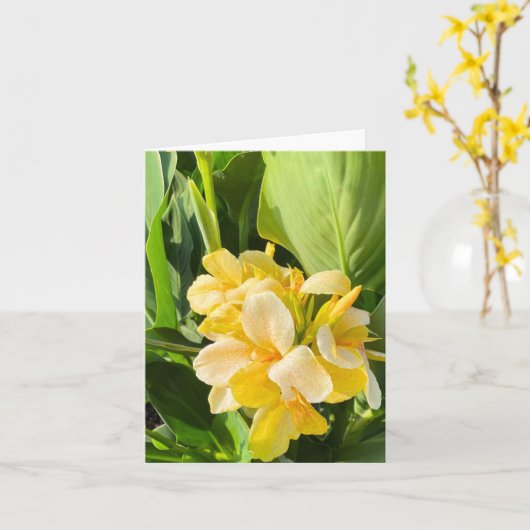 Gele canna lelie in een tuinfoto kaart (Gele Bloem)